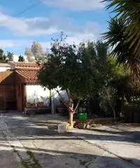 Villetta indipendente a 100 metri dal mare Trabia - 2