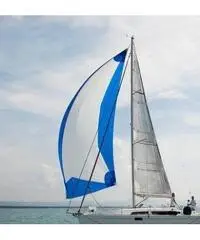Hanse320 - 6