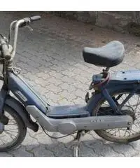 Piaggio ciao anno 1981