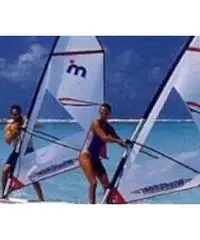 Windglider wind surf tavola vela barca mistral - 2