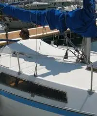 GIB SEA 20 Unica nel suo genere - 3