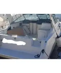 Sea Ray Sundancer 310 - 3