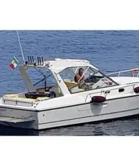 Barca a motore Mochi craft 31 dominator - 3