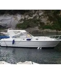 Barca a motore Mochi craft 31 dominator - 4