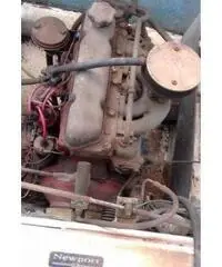 Barca con motore - 6