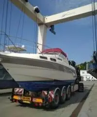 Cabinato sealine 290 ambassador - 2