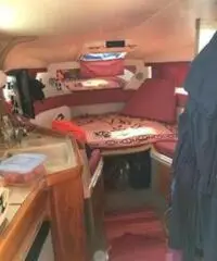 Cabinato sealine 290 ambassador - 4