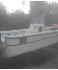 Barca a motore - 3