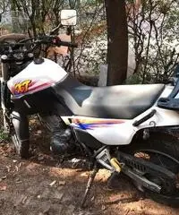 Xt 600 3tb 1995 euro 900 - 2