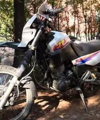 Xt 600 3tb 1995 euro 900 - 3