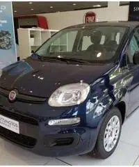 FIAT Panda EASY 1.0 HYBRID 70 CV - 2