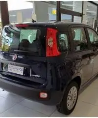 FIAT Panda EASY 1.0 HYBRID 70 CV - 5