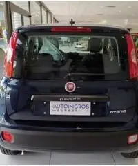 FIAT Panda EASY 1.0 HYBRID 70 CV - 6