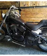 Kawasaki Vulcan 800 custom