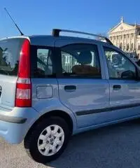 FIAT Panda 1.2 GPL Neopatentati - 2010 - 2