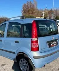 FIAT Panda 1.2 GPL Neopatentati - 2010 - 3