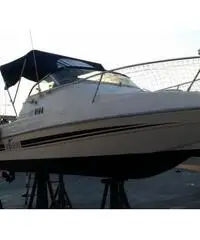 Acquaviva 19 evinrude etec 90cv + 5cv 4 tempi