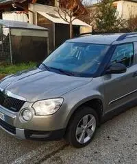 Skoda yeti - 2