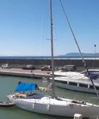 Barca vela 10 mt natante