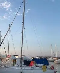 Barca vela 10 mt natante - 3