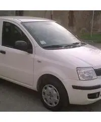 Fiat Panda 1.3 MJT 16V DPF Active per neopatentati - Brescia - 2