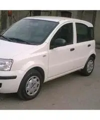 Fiat Panda 1.3 MJT 16V DPF Active per neopatentati - Brescia - 3