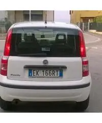 Fiat Panda 1.3 MJT 16V DPF Active per neopatentati - Brescia - 4
