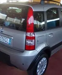 Fiat Panda 4x4 1.2 - 2007 - Cuneo - 2