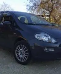 Punto 1.3 multijet 5 porte Easy - Abruzzo - 2