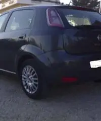 Punto 1.3 multijet 5 porte Easy - Abruzzo - 3