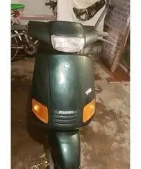 Zip Piaggio