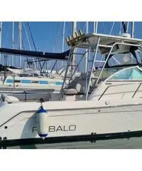 Barca Robalo R265 in perfette condizioni - 2