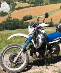 Honda XL 600 rm