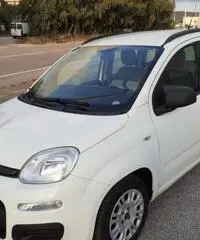 FIAT Panda 1.3mjt 95cv - 11/2018