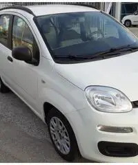 FIAT Panda 1.3mjt 95cv - 11/2018 - 5