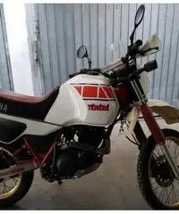 Yamaha XT 600 Z Tenerè - 1984 - 2