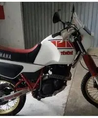 Yamaha XT 600 Z Tenerè - 1984 - 3