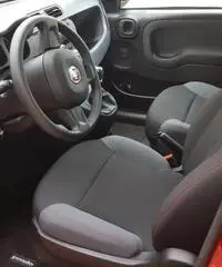 FIAT Panda 3ª serie - 2020 - 4