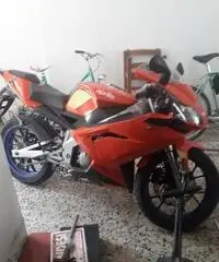 Aprilia RS 50 - 2008 - 2