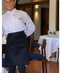 Commis di Sala e Sala Bar, banconista, barista