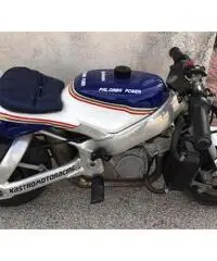 Minimoto polini