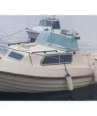 Pilotina 6 m con motore volvo penta