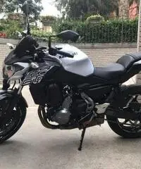 Kawasaki Z 650 - 2019 - 3