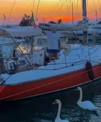 Barca a vela 31 piedi natante