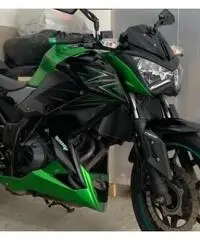 Kawasaki Z 300 - 2017