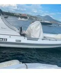 Gommone Gruppo Mare con Motore Evinrude 250hp