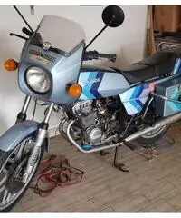 Moto Guzzi Altro modello - 1981