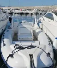 Gommone Pholas 23 con motore Evinrude