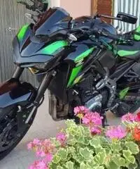 Kawasaki z900 2017