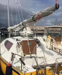 Barca vela Gilardoni